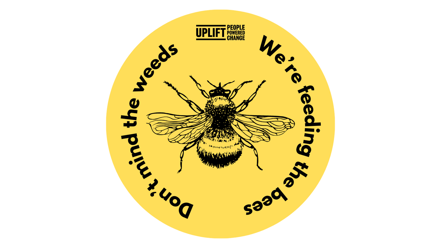 No Mow May Sticker