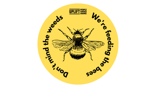 No Mow May Sticker