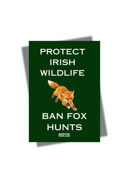 Protect Irish wildlife sticker