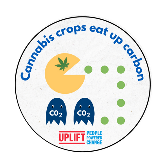 Cannabis crops eat up carbon Sticker